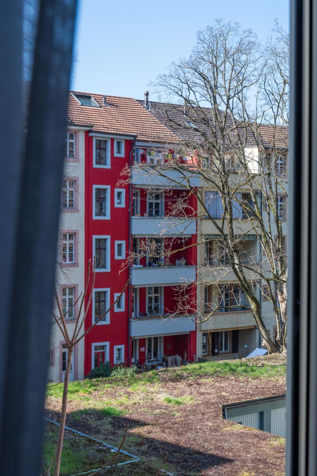 Appartement Special Roger F Rabbit 2 Apartment, Roche Towers, 10-star