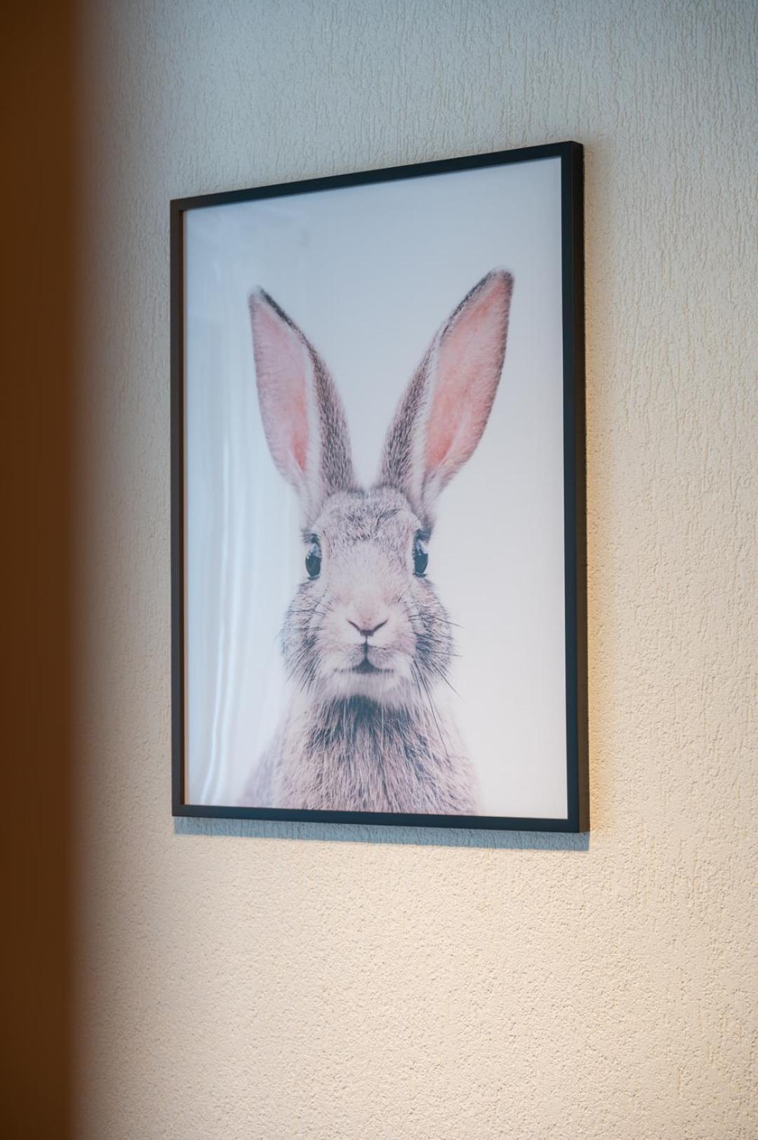 Special Roger F Rabbit 2 Apartment, Roche Towers, 10-star Bazel
